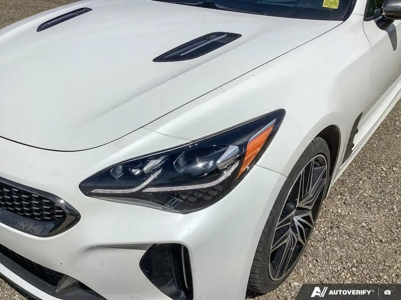 Kia Stinger fotografie Kia Stinger