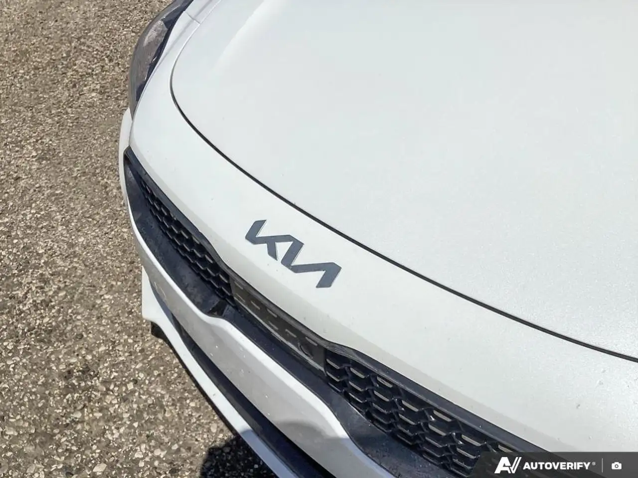 Kia Stinger fotografie Kia Stinger