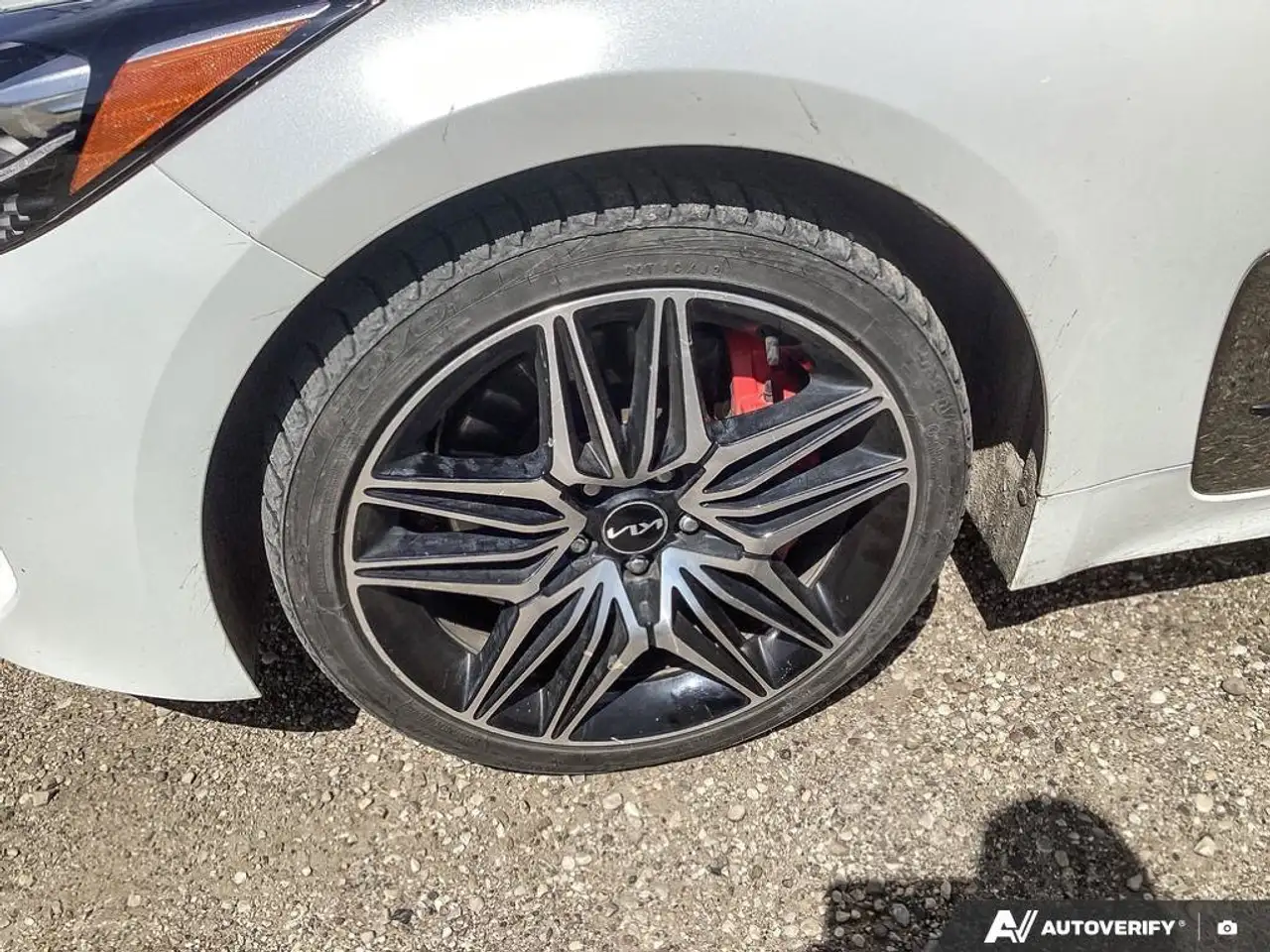 Kia Stinger fotografie Kia Stinger
