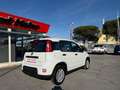 Fiat Panda Panda 1.0 FireFly Hybrid, 5 POSTI, PRONTA CONSEGN Alb - thumbnail 5
