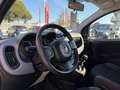 Fiat Panda Panda 1.0 FireFly Hybrid, 5 POSTI, PRONTA CONSEGN Alb - thumbnail 12