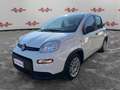 Fiat Panda Panda 1.0 FireFly Hybrid, 5 POSTI, PRONTA CONSEGN Alb - thumbnail 4