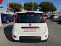 Fiat Panda Panda 1.0 FireFly Hybrid, 5 POSTI, PRONTA CONSEGN Alb - thumbnail 6
