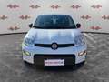 Fiat Panda Panda 1.0 FireFly Hybrid, 5 POSTI, PRONTA CONSEGN Alb - thumbnail 2