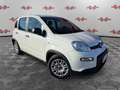 Fiat Panda Panda 1.0 FireFly Hybrid, 5 POSTI, PRONTA CONSEGN Alb - thumbnail 1