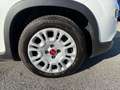 Fiat Panda Panda 1.0 FireFly Hybrid, 5 POSTI, PRONTA CONSEGN Alb - thumbnail 8
