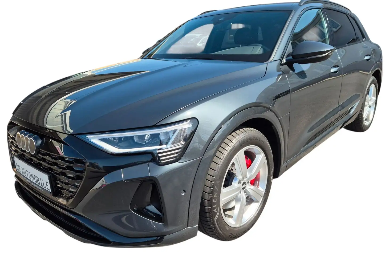 Audi Q8 e-tron CAM*Virtuall*Matrix*APP*Quattro Grau - 1