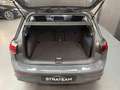 Volkswagen Golf Life Business eTSI DSG7 Grau - thumbnail 13