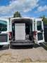 Ford Transit HOCH+LANG+ RAMPE+ 9 SITZE+KLIMA+STANDHZG Weiß - thumbnail 3