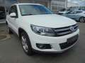 Volkswagen Tiguan Sport & Style BMT Bianco - thumbnail 9