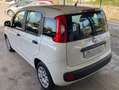 Fiat Panda Panda 1.3 mjt 16v Easy s Bianco - thumbnail 10