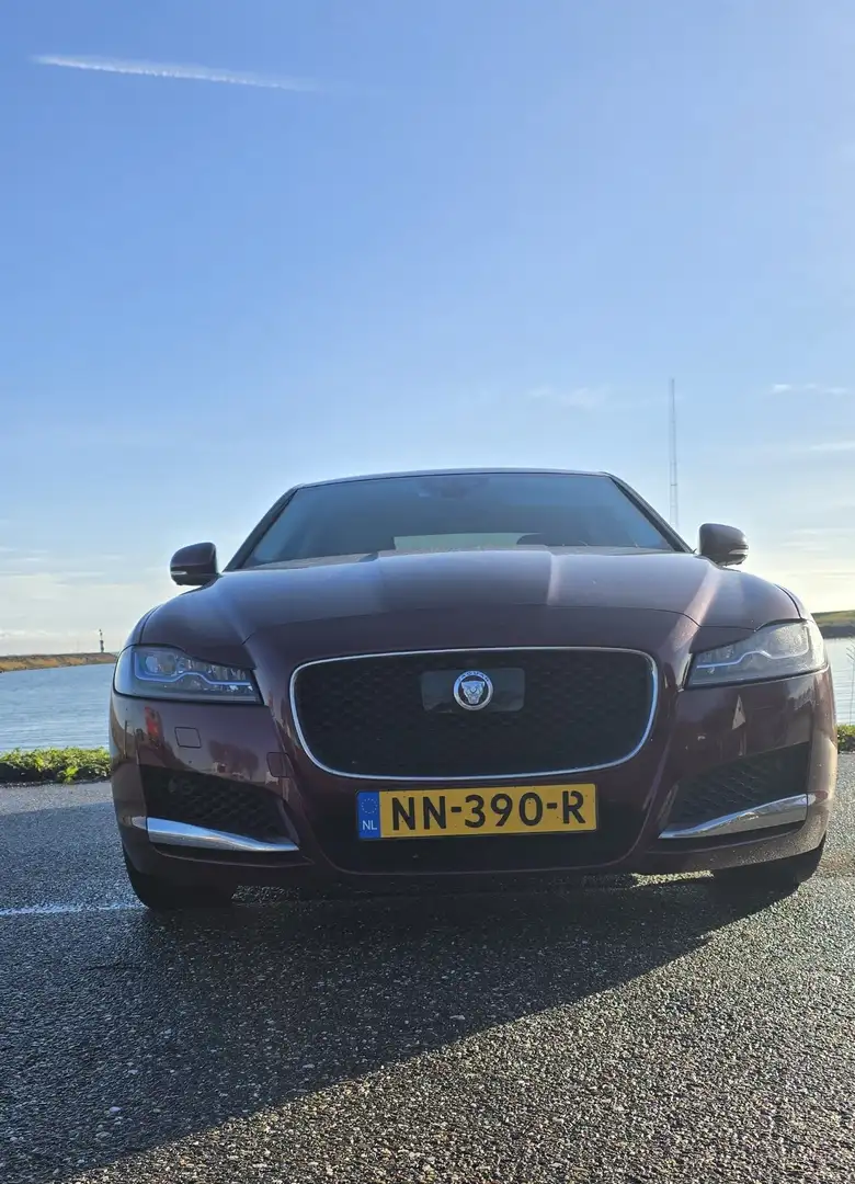 Jaguar XF 30d Aut. Portfolio Rood - 2