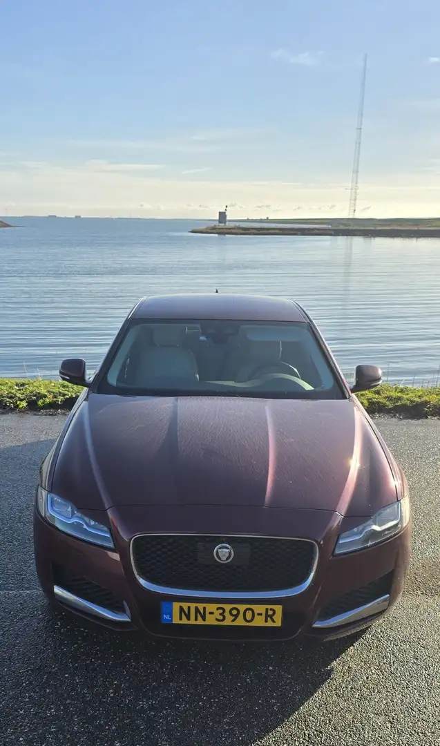 Jaguar XF 30d Aut. Portfolio Rood - 1