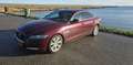 Jaguar XF 30d Aut. Portfolio Rood - thumbnail 3
