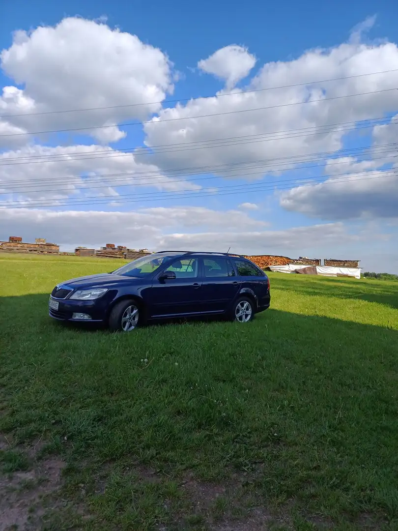 Skoda Octavia Combi 1,6 Elegance TDI Green tec - 1