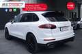 Porsche Cayenne 3.0 Diesel 262 CV Platinum Edition Tetto Unicopro Blanc - thumbnail 15
