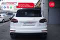 Porsche Cayenne 3.0 Diesel 262 CV Platinum Edition Tetto Unicopro Blanc - thumbnail 7
