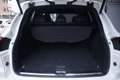 Porsche Cayenne 3.0 Diesel 262 CV Platinum Edition Tetto Unicopro Bianco - thumbnail 20