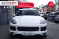 Porsche Cayenne 3.0 Diesel 262 CV Platinum Edition Tetto Unicopro Blanc - thumbnail 9