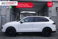 Porsche Cayenne 3.0 Diesel 262 CV Platinum Edition Tetto Unicopro Blanc - thumbnail 4