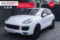 Porsche Cayenne 3.0 Diesel 262 CV Platinum Edition Tetto Unicopro Blanc - thumbnail 11