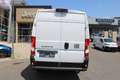 Fiat Ducato Maxi L4H2 140MT  7" Radio Klima Tempomat... Weiß - thumbnail 10