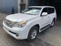 Lexus GX 460 4x4 V8 ONLY FOR EXPORT OUT EUROPE Wit - thumbnail 3