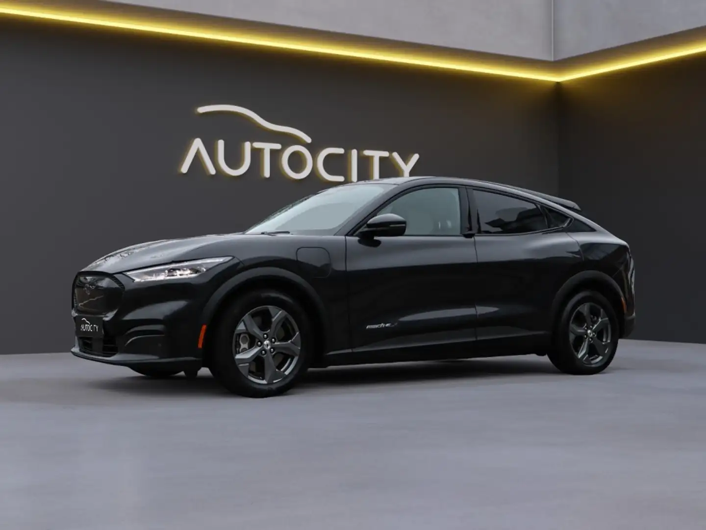 Ford Mustang Mach-E 99kWh Extended Range 95% SOH l Winterpakket l Lede Noir - 1