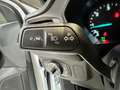 Ford Focus 1.5 Ecoblue ST-Line 120 Blanco - thumbnail 14