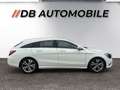 Mercedes-Benz Sonstige CLA d Shooting Brake, Navi, Leder Weiß - thumbnail 4