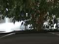 Volkswagen Golf 1.5 TSI Life NAVI HEAD UP SHZ Schwarz - thumbnail 18