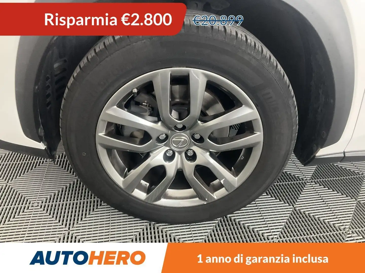 Lexus NX 300h NX 300h Executive FHEV Bianco - 1