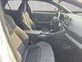 Toyota C-HR 2.0 Hybrid Teamplayer Technik Paket Wit - thumbnail 14