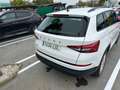 Skoda Kodiaq 1.5 TSI Ambition 4x2 DSG 110kW Blanco - thumbnail 6