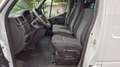 Renault Master Elektro Z.E.L2H1 incl. Batterie Kamera Weiß - thumbnail 10