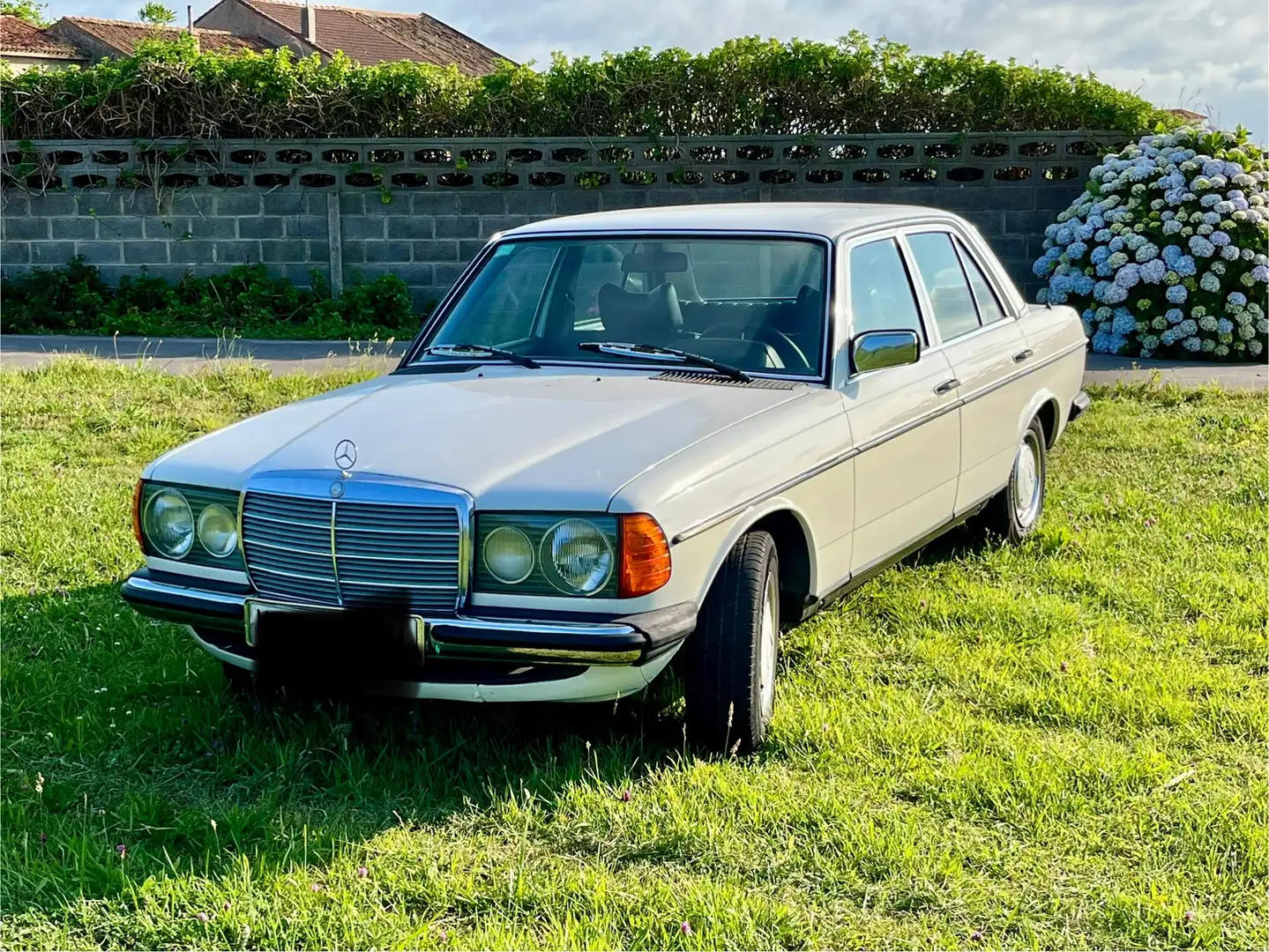 Mercedes-Benz 230 230E Blanco - 2