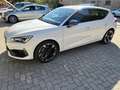 CUPRA Leon 1.5 tsi 150cv Wit - thumbnail 7