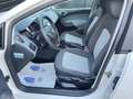SEAT Ibiza 1.2 TSI  STYLE SPORT GARANTIE 12 MOIS Wit - thumbnail 7