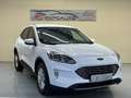 Ford Kuga 2.0 EcoBlue MEHV ST-Line FWD 150 Blanco - thumbnail 3
