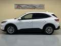 Ford Kuga 2.0 EcoBlue MEHV ST-Line FWD 150 Blanco - thumbnail 8