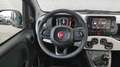 Fiat Panda Pandina Cross 1.0 firefly hybrid 70cv DISPONIBILE Grün - thumbnail 10