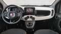 Fiat Panda Pandina Cross 1.0 firefly hybrid 70cv DISPONIBILE Grün - thumbnail 9