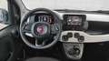 Fiat Panda Pandina Cross 1.0 firefly hybrid 70cv DISPONIBILE Grün - thumbnail 11