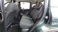 Fiat Panda Pandina Cross 1.0 firefly hybrid 70cv DISPONIBILE Grün - thumbnail 13