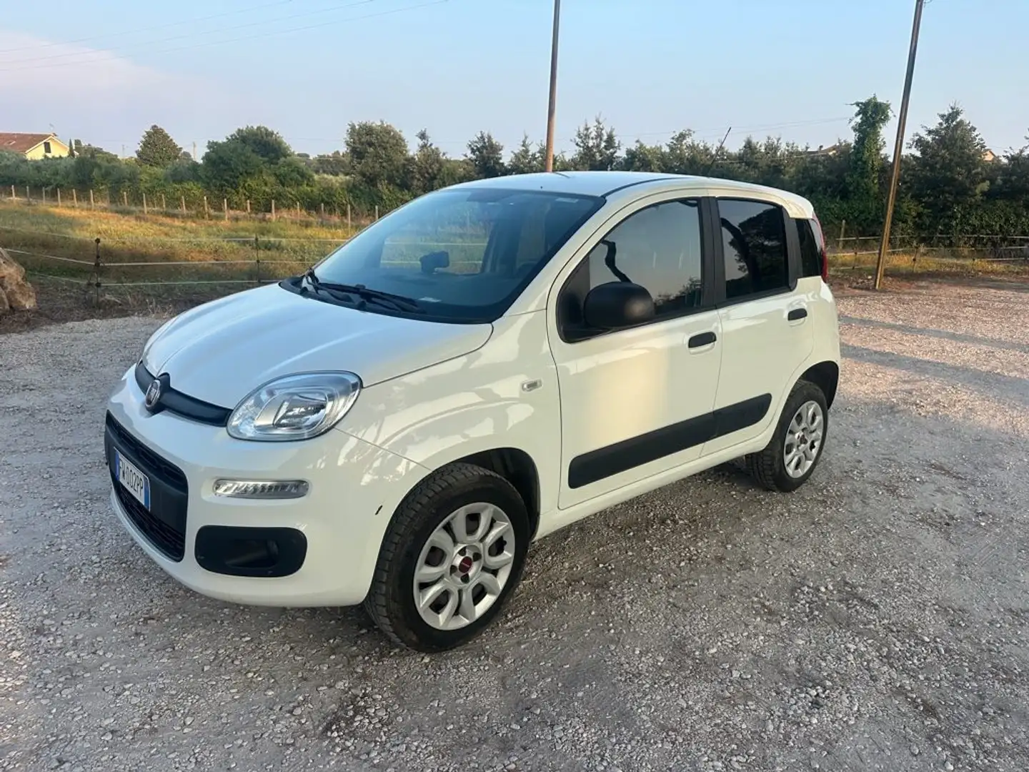 Fiat Panda 0.9 TwinAir Turbo S&S 4x4 Pop Van 2 posti Bianco - 1