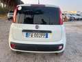 Fiat Panda 0.9 TwinAir Turbo S&S 4x4 Pop Van 2 posti Bianco - thumbnail 6