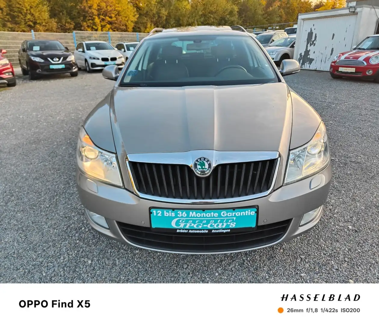 Skoda Octavia TSI DSG "Elegance Automatik 1Hand Beige - 2