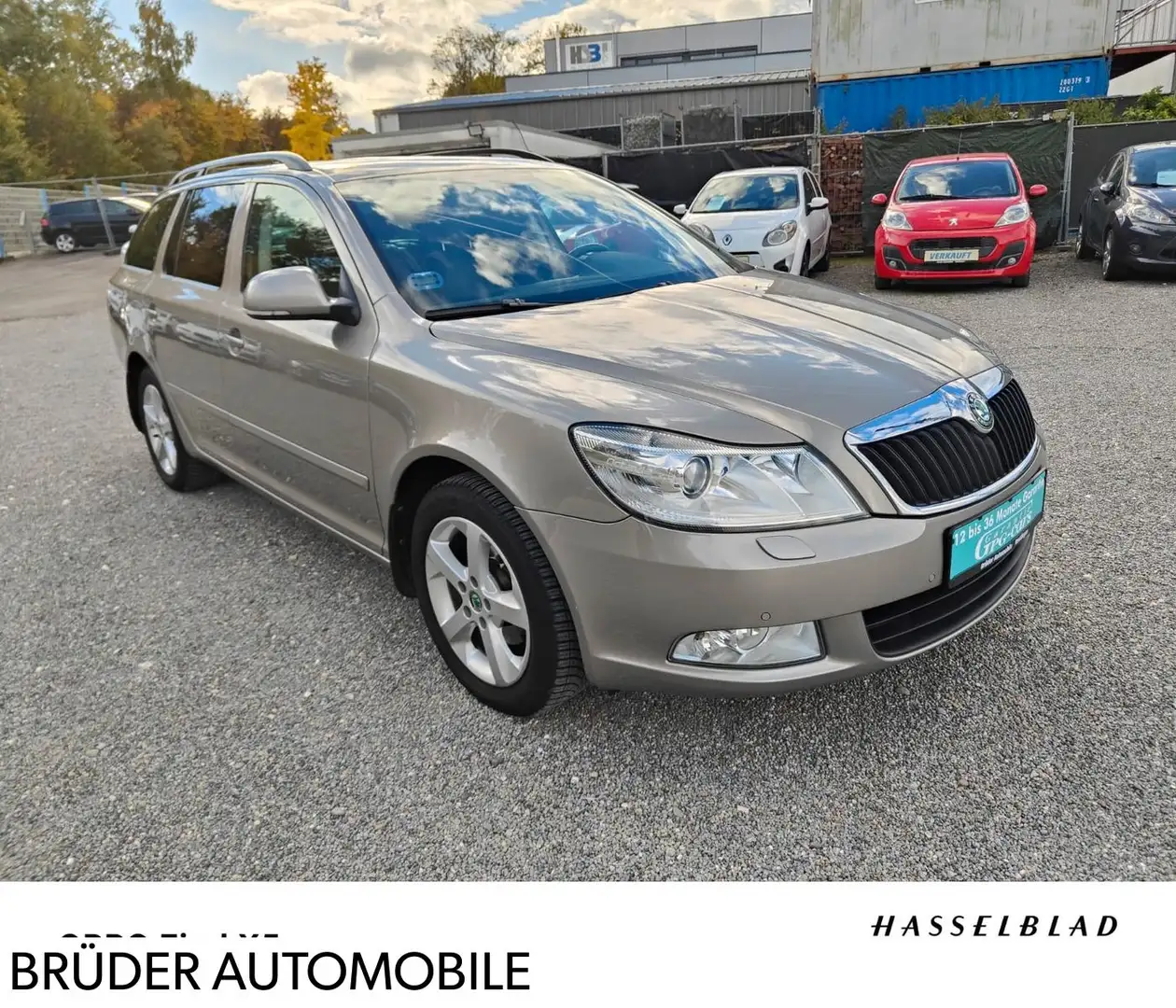 Skoda Octavia TSI DSG "Elegance Automatik 1Hand Beige - 1