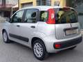 Fiat Panda Benzina cc. 1.242  5 Porte 5 Posti Anche x Neopat. Silber - thumbnail 16