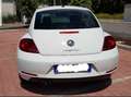 Volkswagen Maggiolino 2.0 tdi bm Sport 150cv dsg Wit - thumbnail 4